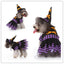 Personalized Christmas & Halloween Pet Costumes