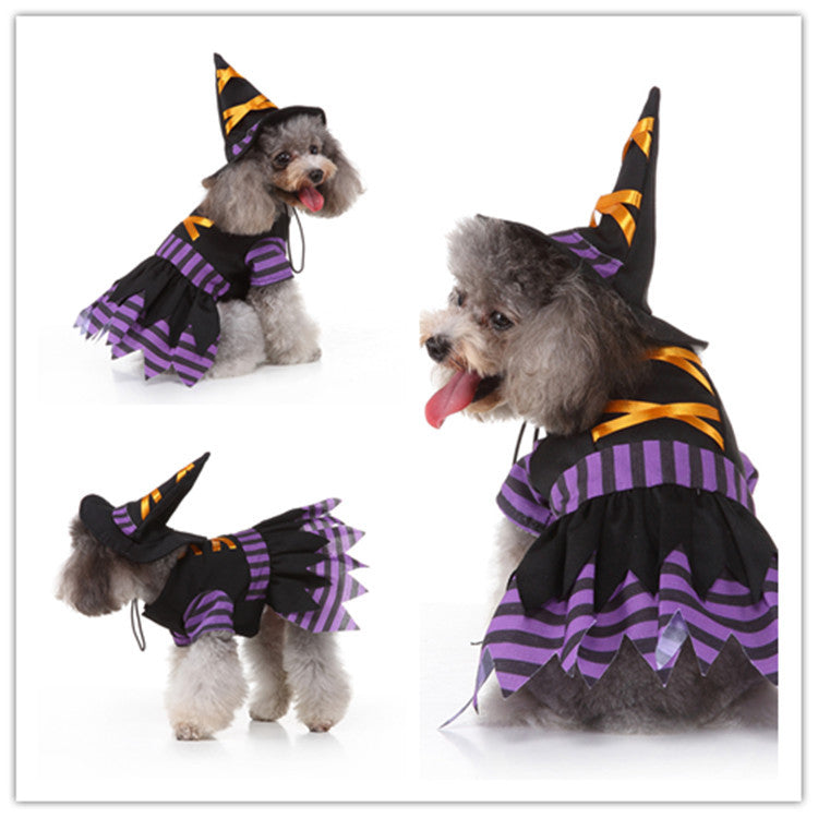 Personalized Christmas & Halloween Pet Costumes
