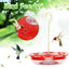 Creative Hummingbird Feeder, Outdoor Hanging Hummingbird Feeder, Hummingbird Feeding Device - Korvel