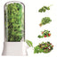 Vanilla vegetable fresh-keeping box pressure resistant fresh-keeping device creative fresh-keeping cup - Korvel