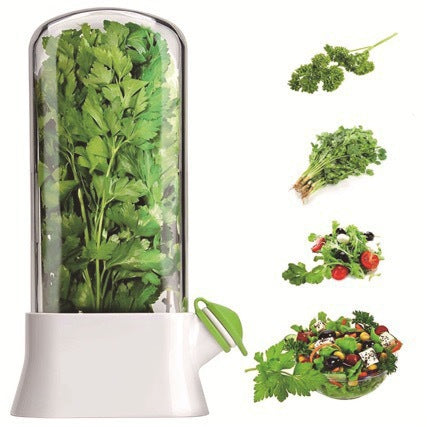 Vanilla vegetable fresh-keeping box pressure resistant fresh-keeping device creative fresh-keeping cup - Korvel