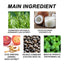 Rosemary Essential Oil, Repair Solid Hair Strong And Moisturizing Hair Roots Thick And Supple Hair Care Essential Oil - Korvel