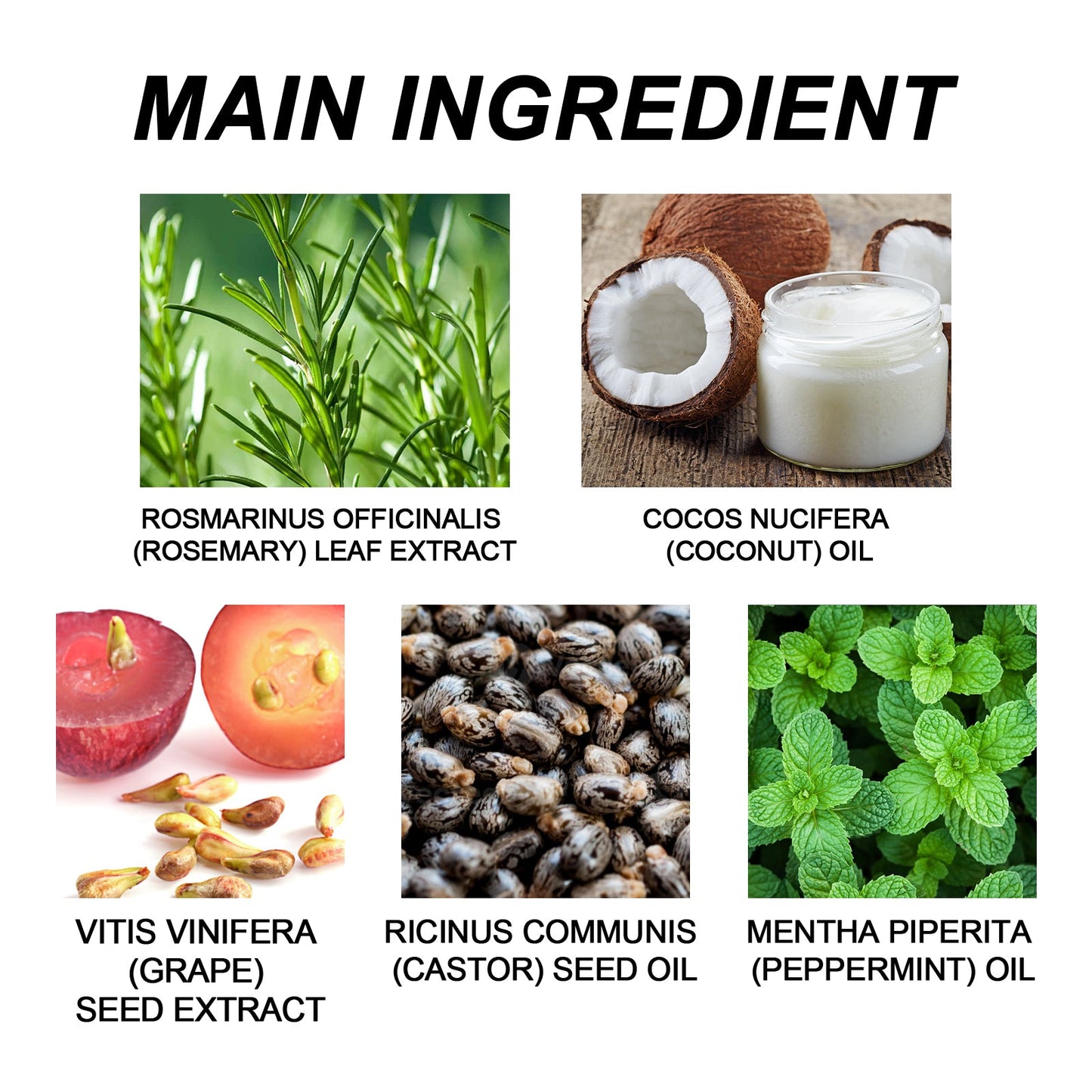 Rosemary Essential Oil, Repair Solid Hair Strong And Moisturizing Hair Roots Thick And Supple Hair Care Essential Oil - Korvel