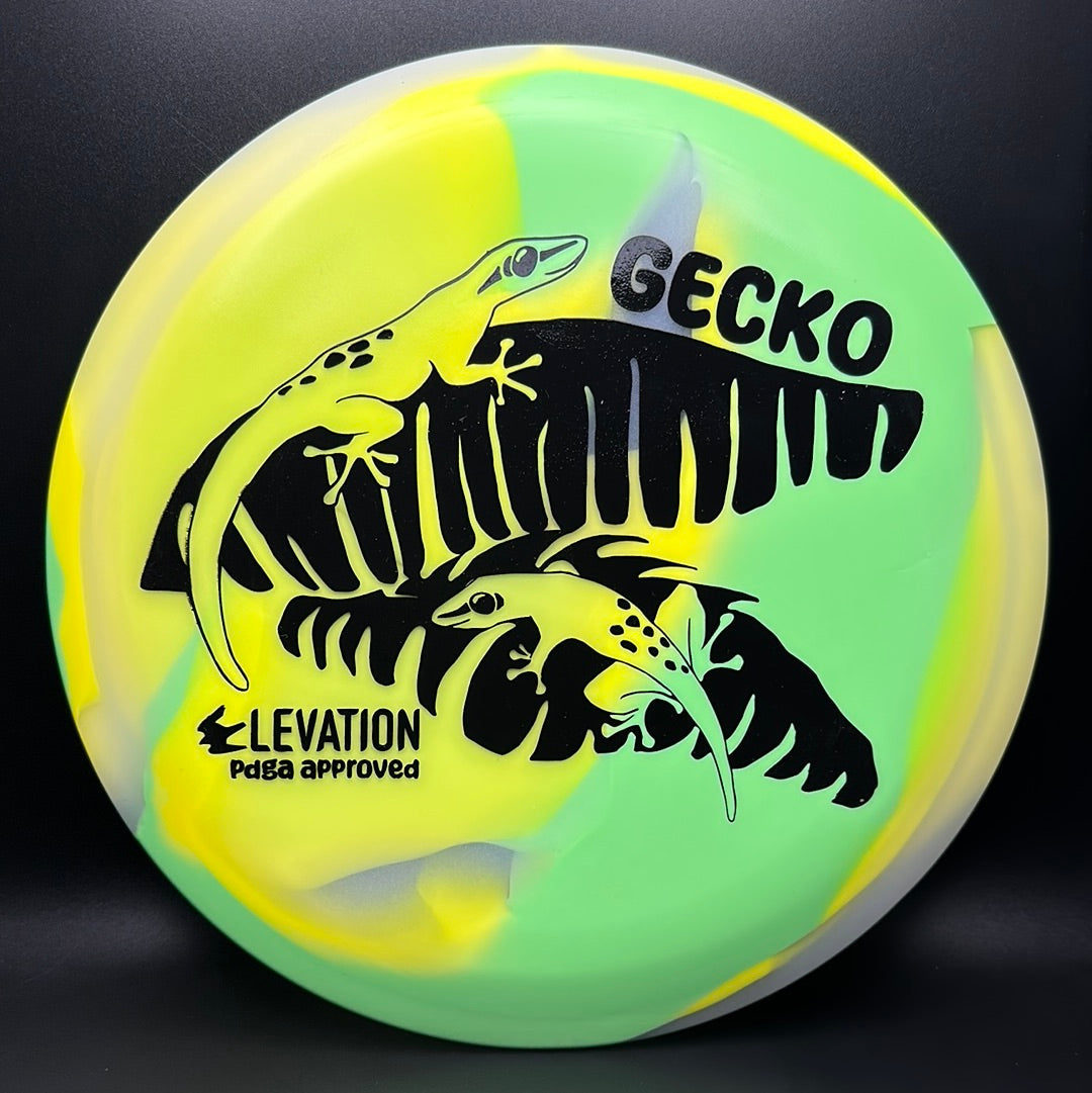 Disco de Golf glO-G Gecko