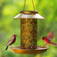 Outdoor solar powered lamp metal hanging bird feeder feeding and watering dual-purpose bird feeder decorative lamp - Korvel