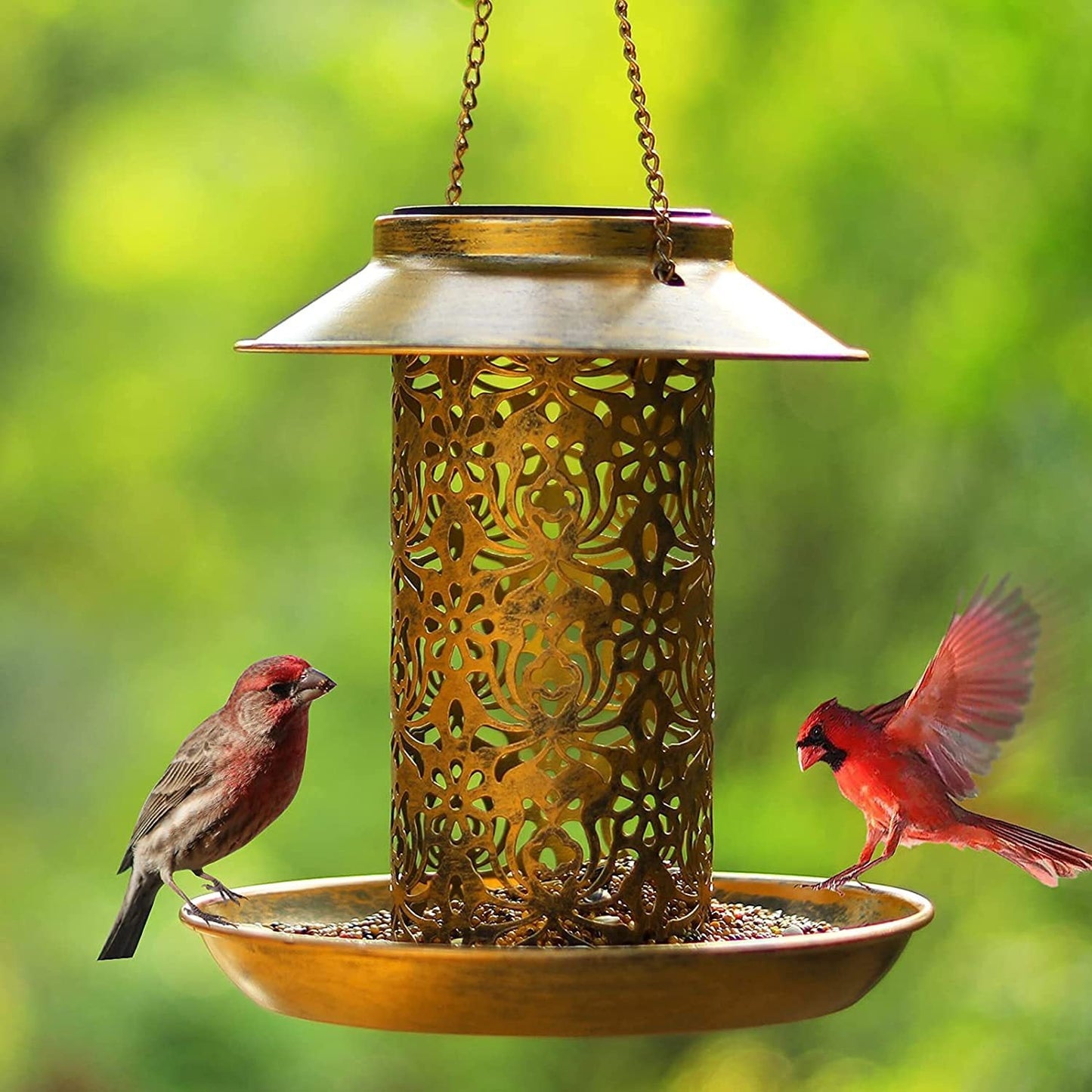 Outdoor solar powered lamp metal hanging bird feeder feeding and watering dual-purpose bird feeder decorative lamp - Korvel