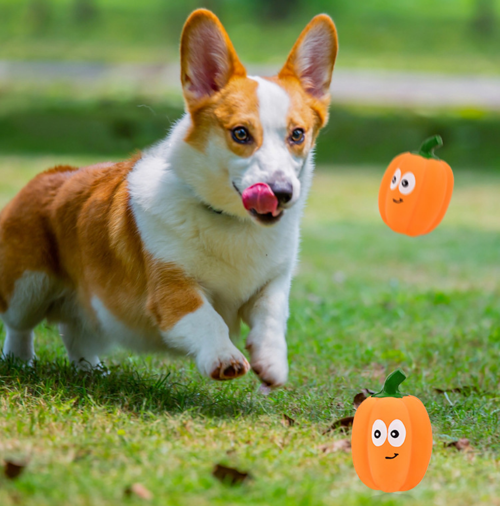 Pet Toy Latex Sound-emitting Pumpkin Realistic Cartoon Pumpkin Durable Dog Toy - Korvel