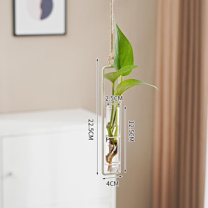 Jarrón Hidropónico de Vidrio Estilo Escandinavo para Decoración Creativa