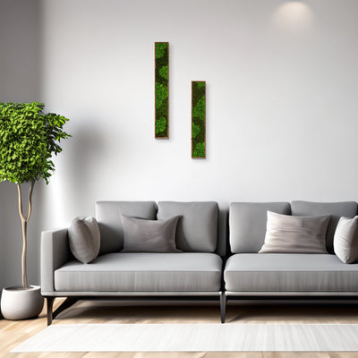 Medium Rectangular Mixed Moss Wall Art