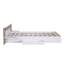 Queen Size Platform Bed with Headboard, Drawers, Shelves, USB Ports and Sockets  White - Korvel