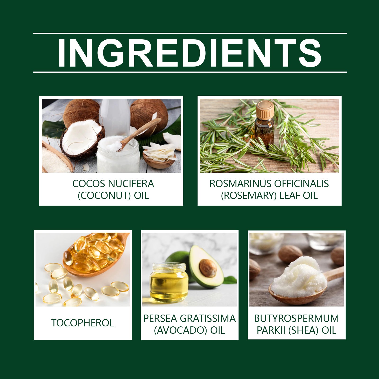 Rosemary Coconut Hair Oil Nourishes, Moisturizes, Leaves Fragrance, Pamper Hair, And Softens Hair Essence - Korvel