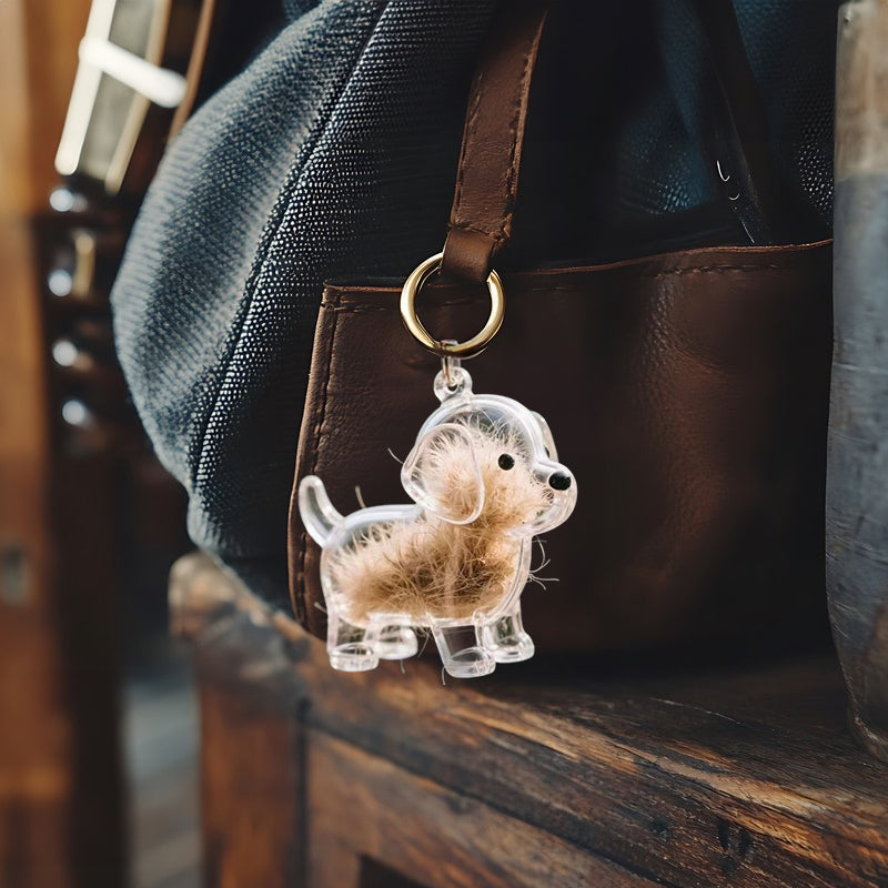 A transparent DIY pet hair memorial keychain box, a sweet keepsake for dog lovers. - Korvel