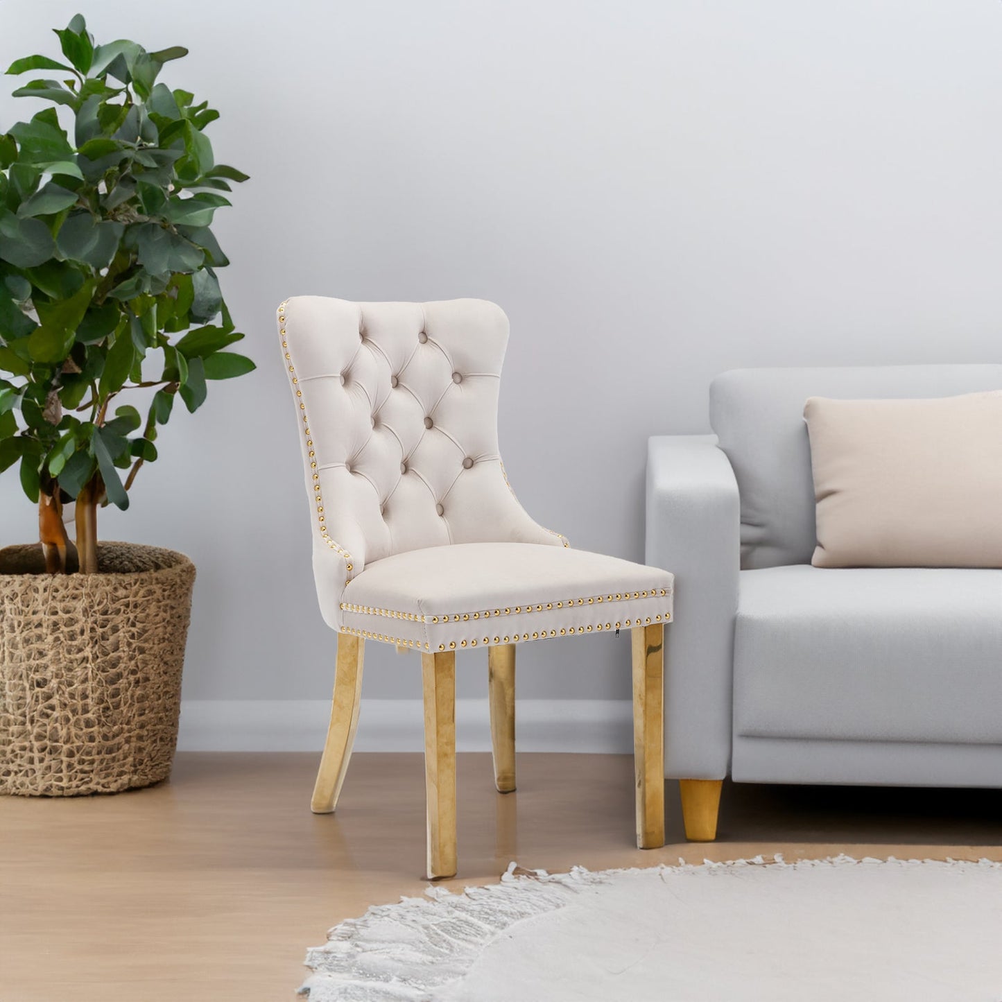 Tufted solid wood velvet soft cushion dining chair gold stainless steel plated leg nail head set of 2 pieces beige and gold - Korvel