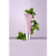 Tratamiento de Peppermint Leave-on para el Cuidado del Cuero Cabelludo Alterna Renewing, 2.5 Oz