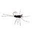Barbless Pat's Barred Rubber Legs Tungsten Bead Jigged Black Euro Nymph  - Set of 6 Flies Hook Size 6