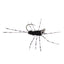 Barbless Pat's Barred Rubber Legs Tungsten Bead Jigged Black Euro Nymph  - Set of 6 Flies Hook Size 6 - Korvel