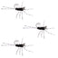 3 Pack Tungsten Bead Barbless Pat's Barred Rubber Legs Euro Nymph - Size 6 - Korvel