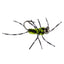 Premium Tungsten Bead Barbless Pat's Barred Rubber Legs Nymphs - Black/Chartreuse - Set of 6 Size 6 Flies - Korvel