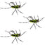 3 Pack Barbless Pat's Barred Rubber Legs Tungsten Bead Jigged Black/Chartreuse Euro Nymph  - Hook Size 6 - Korvel