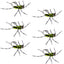 Premium Tungsten Bead Barbless Pat's Barred Rubber Legs Nymphs - Black/Chartreuse - Set of 6 Size 6 Flies - Korvel