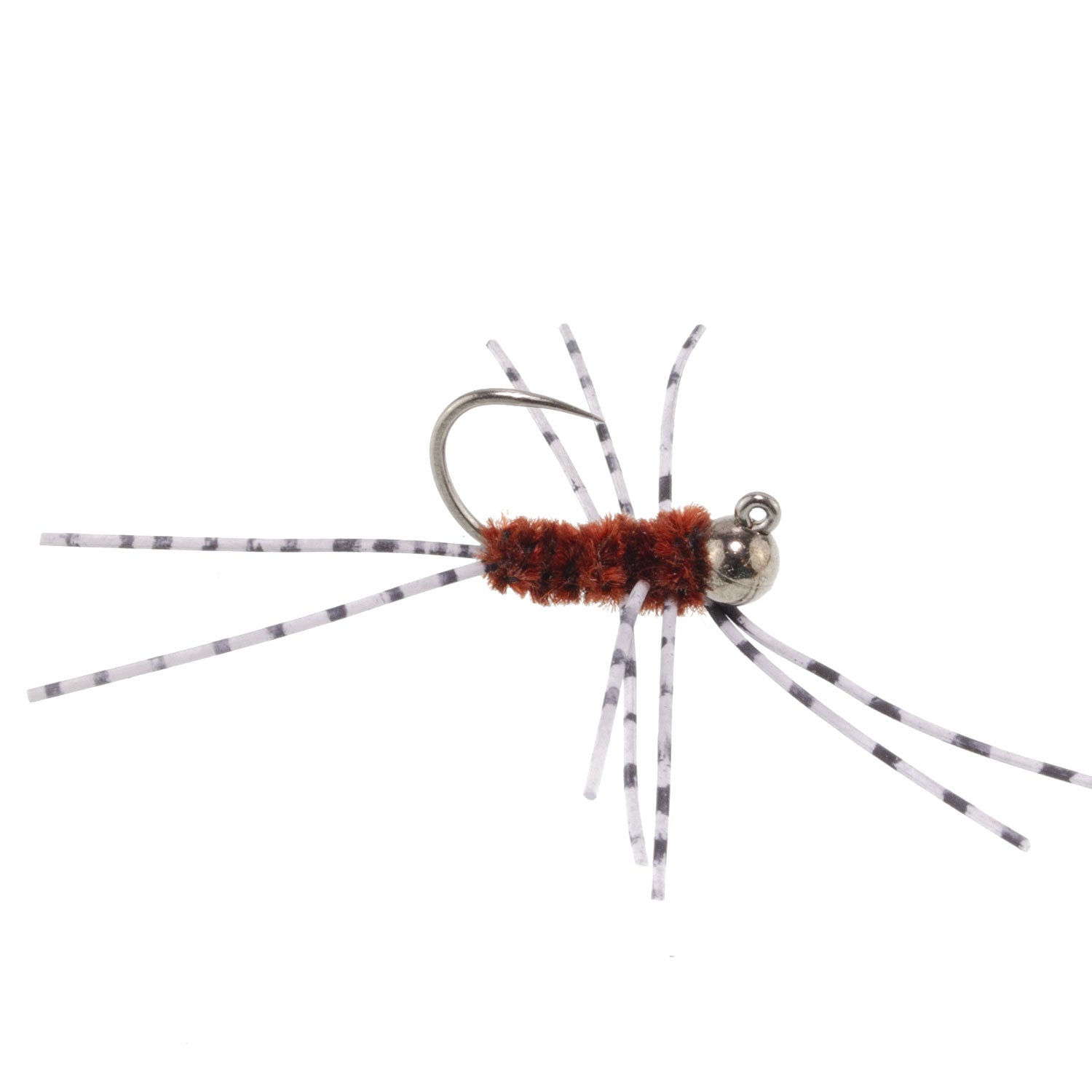 Premium Barbless Pat's Barred Rubber Legs Tungsten Bead Euro Nymph - Set of 6 Size 6 Flies - Korvel