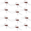 Barbless Pat's Barred Rubber Legs Tungsten Bead Jigged Brown Euro Nymph  - Set of 12 Flies Hook Size 6 - Korvel