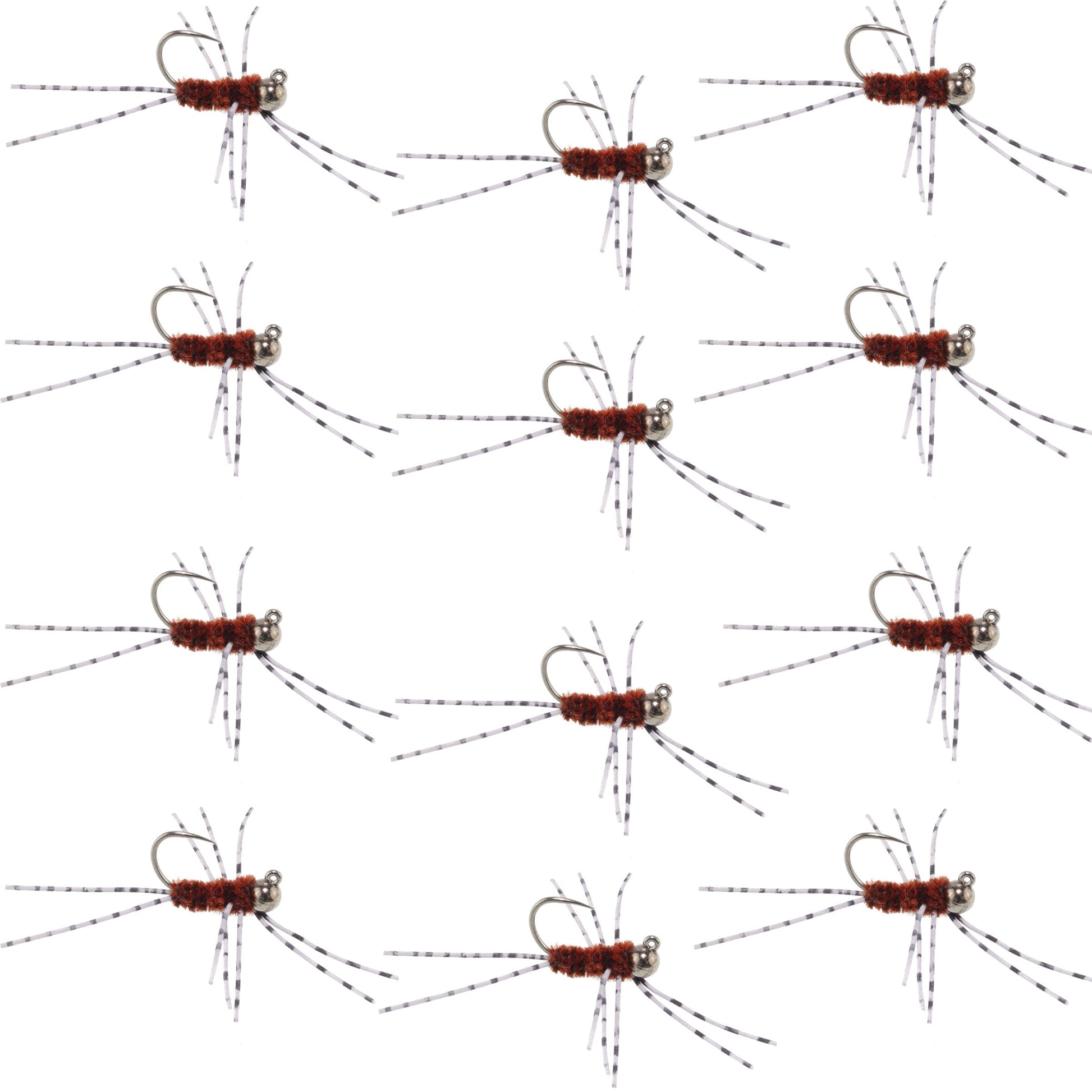 Barbless Pat's Barred Rubber Legs Tungsten Bead Jigged Brown Euro Nymph  - Set of 12 Flies Hook Size 6 - Korvel