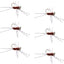 Premium Barbless Pat's Barred Rubber Legs Tungsten Bead Euro Nymph - Set of 6 Size 6 Flies - Korvel