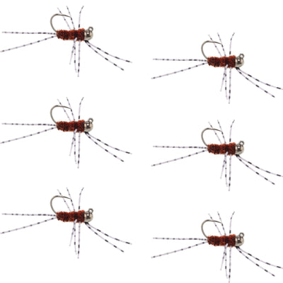 Premium Barbless Pat's Barred Rubber Legs Tungsten Bead Euro Nymph - Set of 6 Size 6 Flies - Korvel