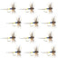 Adams Classic Female Dry Fly Set - 12 Premium Flies, Size 12 - Korvel