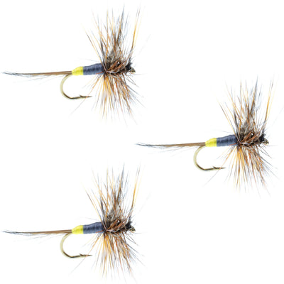 Adams Female Classic Dry Fly - Size 12 (3 Pack) - Korvel