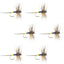 Adams Classic Female Dry Fly Set - 6 Size 12 Flies for Trout & Bass - Korvel