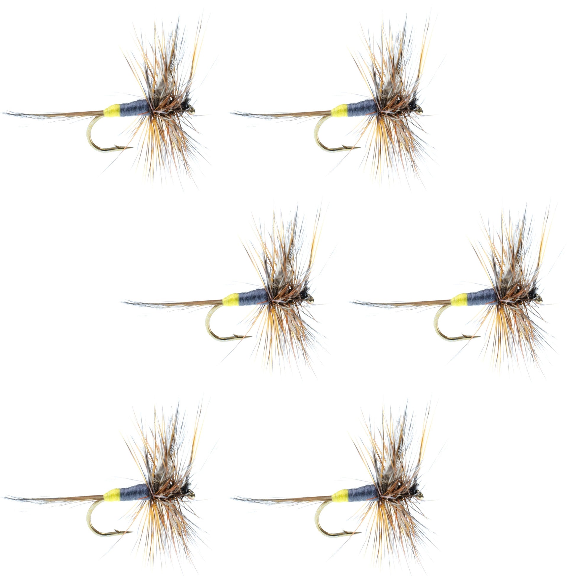 Adams Classic Female Dry Fly Set - 6 Size 12 Flies for Trout & Bass - Korvel