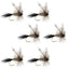 Premium Barbless Adams Irresistible Dry Fly - 6 Pack Size 12 - Korvel