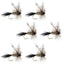Adams Classic Dry Fly Set - 6 Premium Size 10 Flies - Korvel