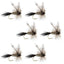 Adams Classic Dry Fly Set - 6 Premium Size 14 Flies - Korvel