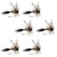 Adams Classic Dry Fly Set - 6 Premium Size 12 Flies - Korvel