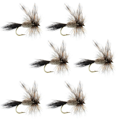 Adams Classic Dry Fly Set - 6 Premium Size 12 Flies - Korvel