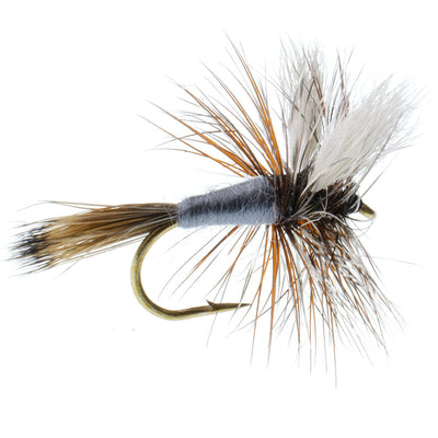 Adams Wulff Classic Dry Fly Set - 6 Premium Size 12 Flies - Korvel