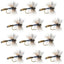 Adams Wulff Classic Dry Fly - 12 Premium Size 10 Flies - Korvel