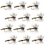 Adams Wulff Classic Dry Fly - 12 Premium Size 12 Flies - Korvel