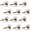 Adams Wulff Classic Dry Fly - 12 Pack, Size 12 Hooks - Korvel
