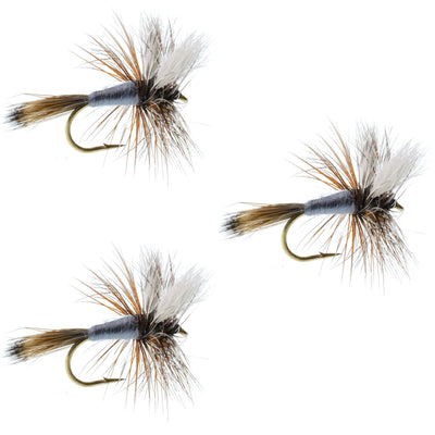 Adams Wulff Classic Dry Fly - 3 Pack, Size 14 for Trout & Bass - Korvel