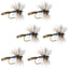 Adams Wulff Classic Dry Fly Set - 6 Premium Size 10 Flies - Korvel