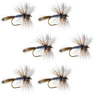 Adams Wulff Classic Dry Fly Set - 6 Premium Size 10 Flies - Korvel