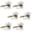 Adams Wulff Classic Dry Fly Set - 6 Premium Size 12 Flies - Korvel