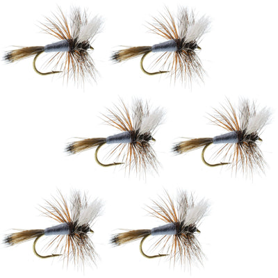 Adams Wulff Classic Dry Fly Set - 6 Premium Size 12 Flies - Korvel