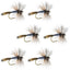 Adams Wulff Classic Dry Fly Set - 6 Premium Size 14 Flies - Korvel