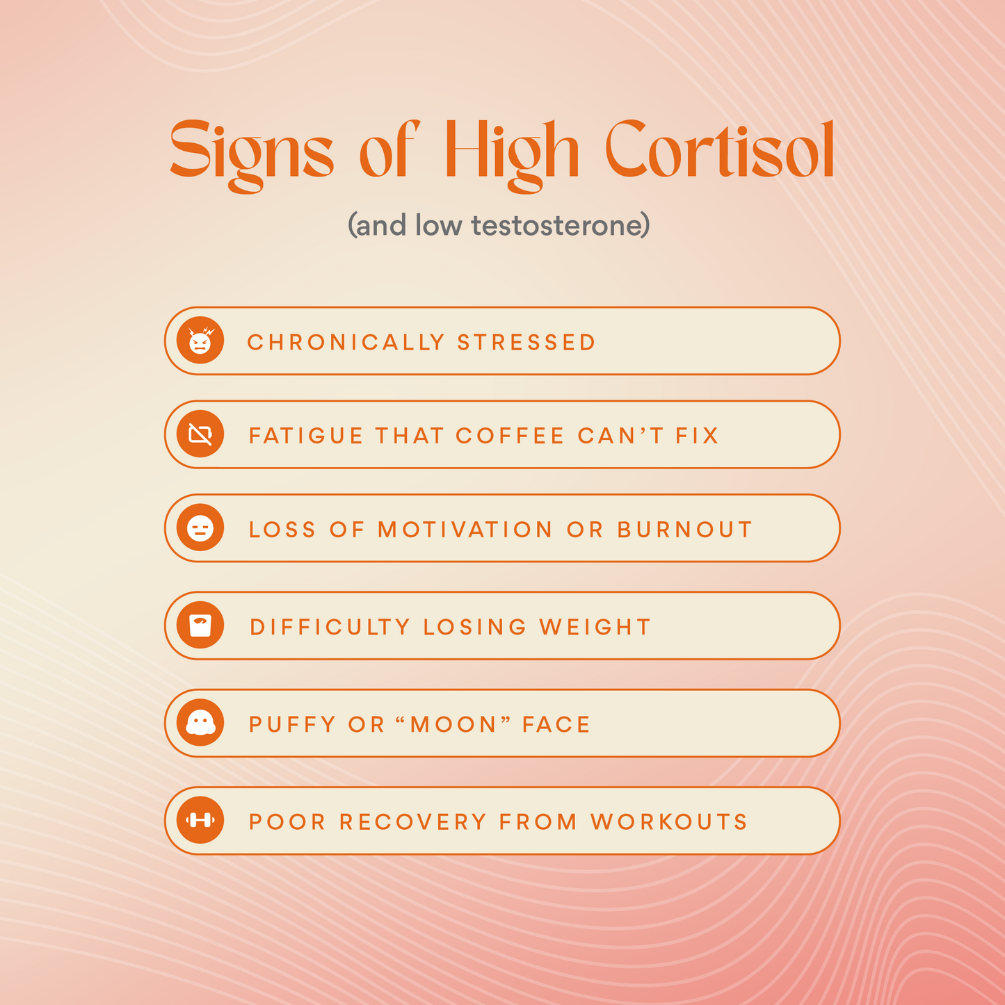 Cortisol, Who? – Natural Stress Support Supplement