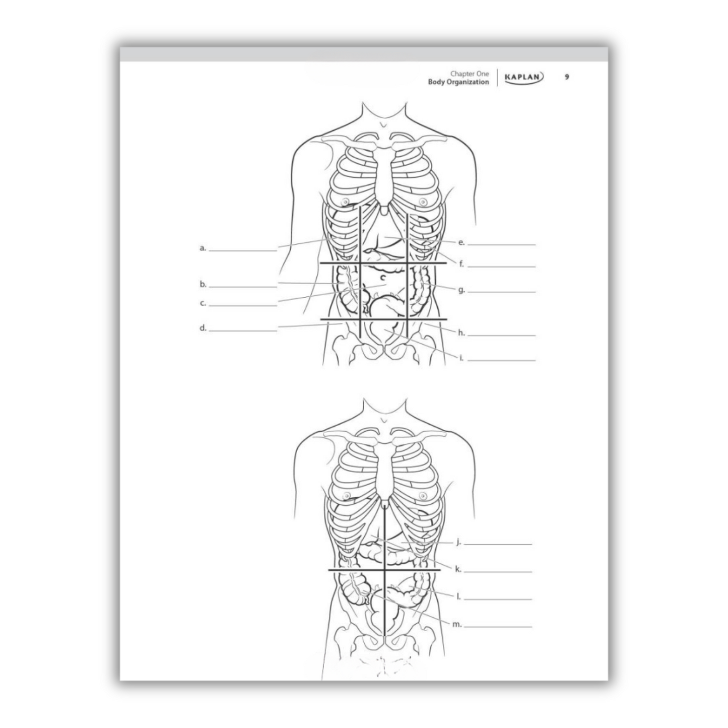Kaplan's Comprehensive Anatomy Coloring Book: 10th Edition (Spiral Bound) - Korvel
